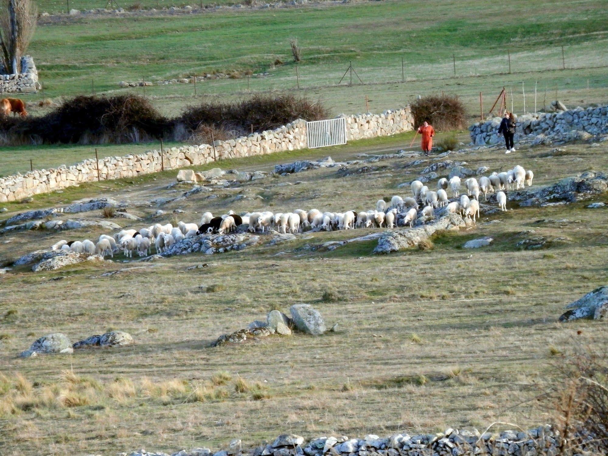 Casa Rural El Dolmen Bernuy-Salinero Esterno foto